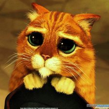 Схема вышивки «№ 12»