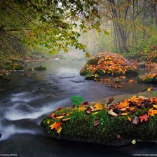 Схема вышивки «Осенний лес»