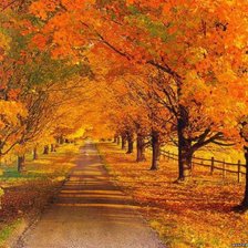 Схема вышивки «Осенняя дорога»