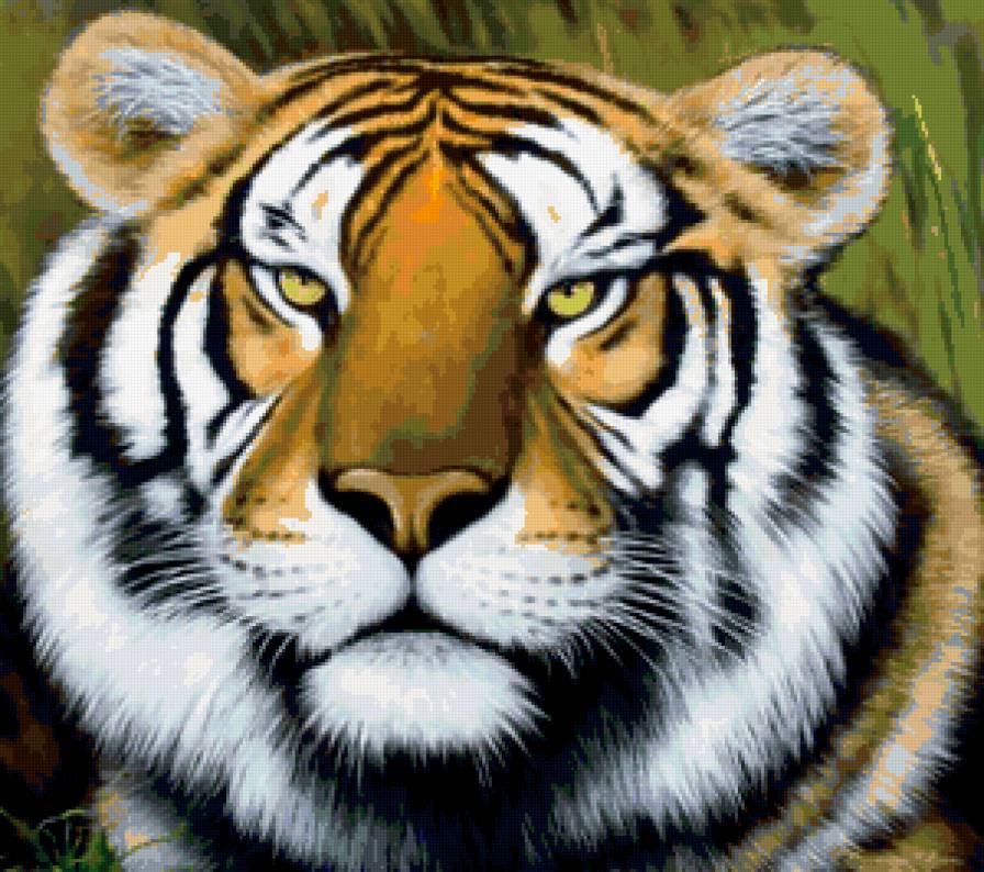 Серия "Большие кошки" - тигры, животные, кошки - предпросмотр