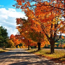 Схема вышивки «Золотая осень»