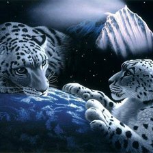 Схема вышивки «Парочка тигров»