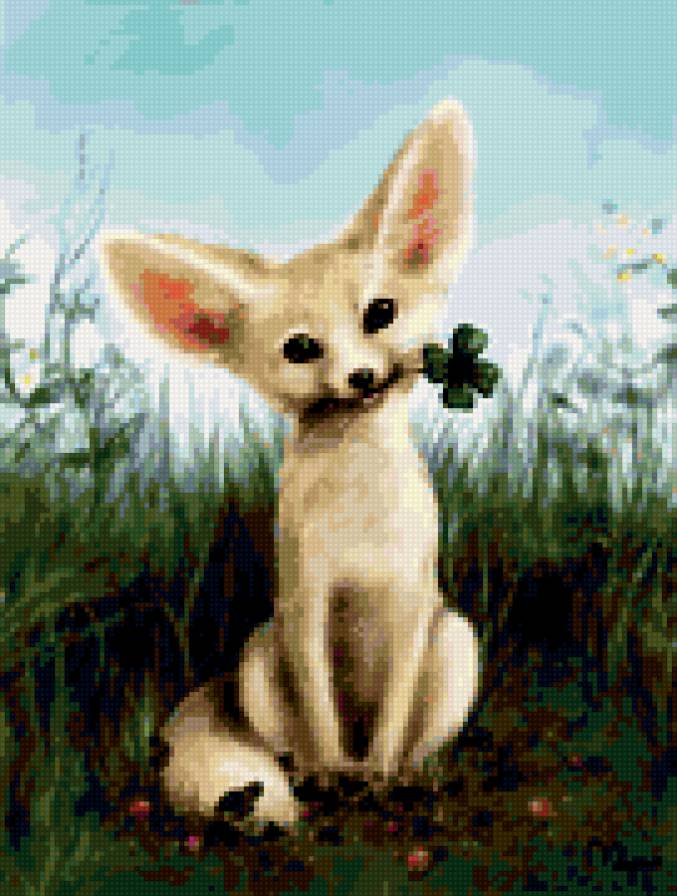 Ушастик - лиса, животные - предпросмотр