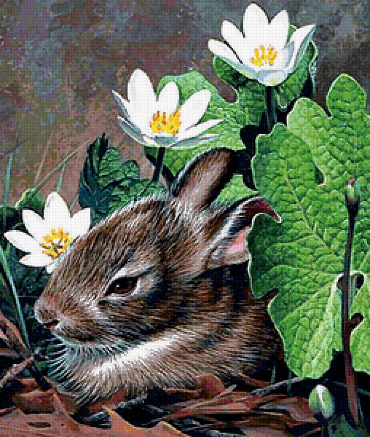 Зайчик - животные - предпросмотр