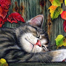 Схема вышивки «кот»