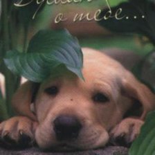 Схема вышивки «пёсик»