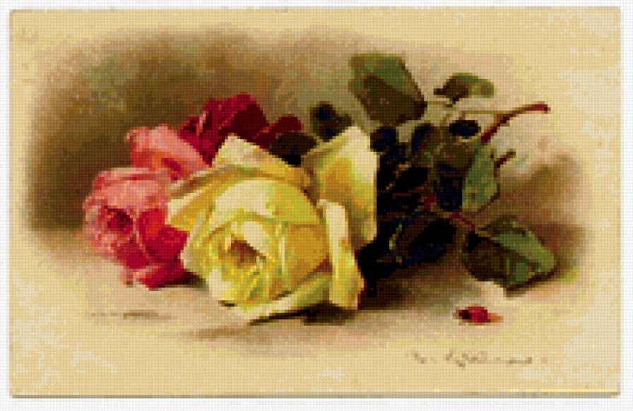 Две розы - букет, цветы, роза - предпросмотр