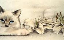 Схема вышивки «кот с лилиями»