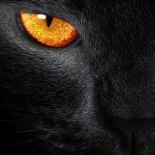 Схема вышивки «Черная кошка»