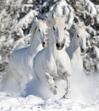 Схема вышивки «№418770»