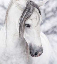 Схема вышивки «№418772»