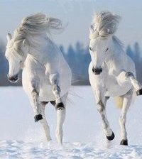 Схема вышивки «№418773»