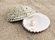 Схема вышивки «жемчежина»