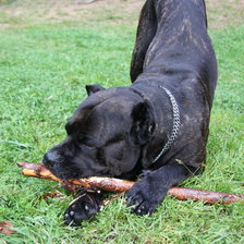 Схема вышивки «завулон»