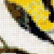 Предпросмотр схемы вышивки «№419057»