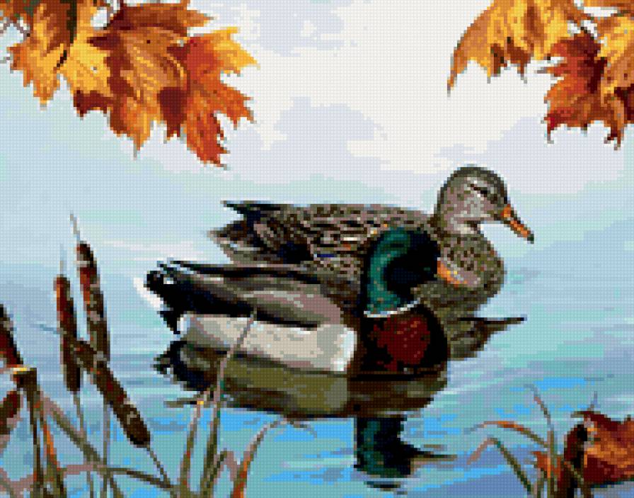 0132 - картина, красота, птицы, лето, природа, утки - предпросмотр