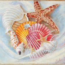Схема вышивки «Ракушки»