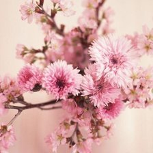 Схема вышивки «Цветы»