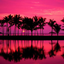 Схема вышивки «№419254»