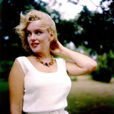 Схема вышивки «Мэрлин»