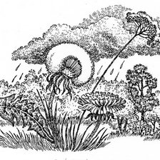 Схема вышивки «одуванчик»