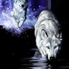 Схема вышивки «Волки»