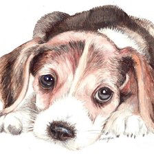 Схема вышивки «щенок»