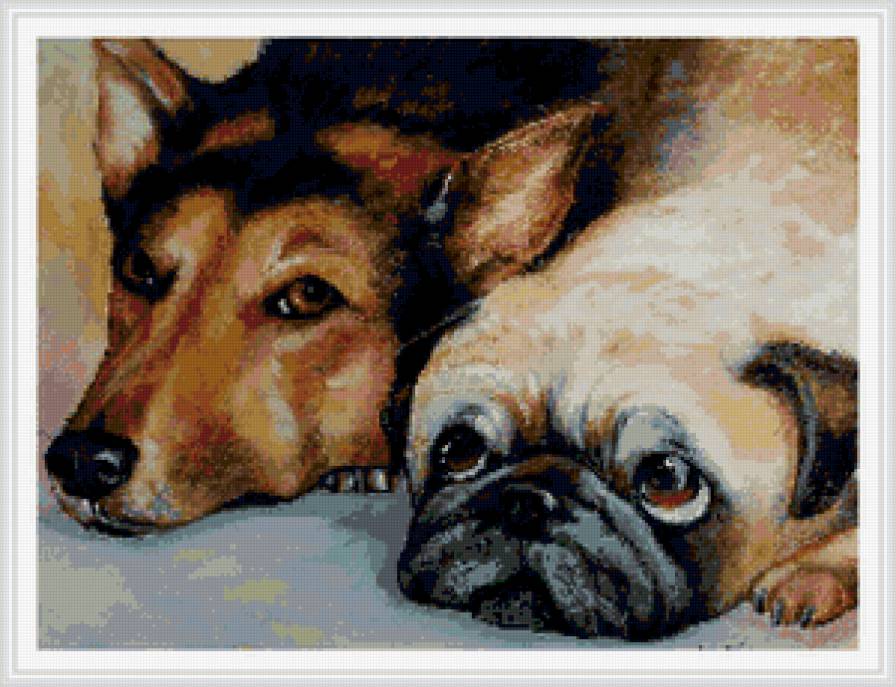 друзья - собаки - предпросмотр