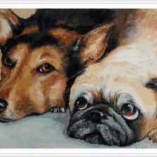 Схема вышивки «друзья»