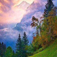 Схема вышивки «Лесной пейзаж»