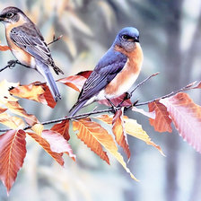 Схема вышивки «Птички»