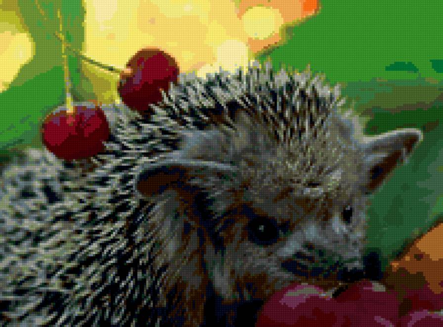 ежик - ежик - предпросмотр