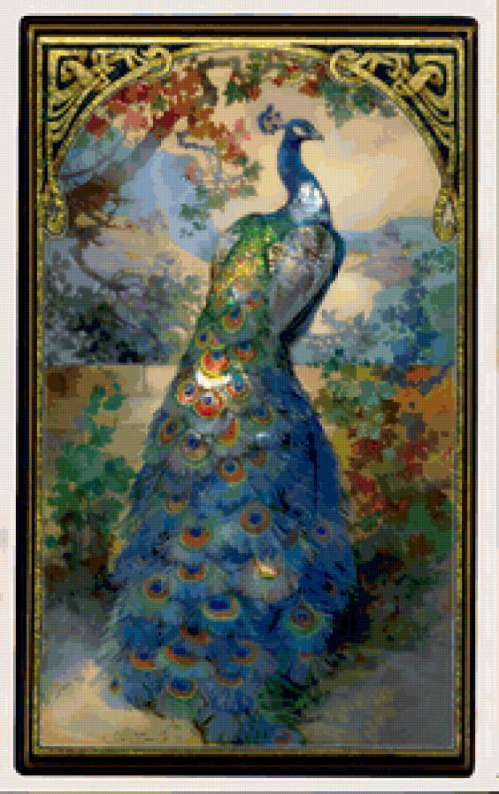 Павлин - предпросмотр