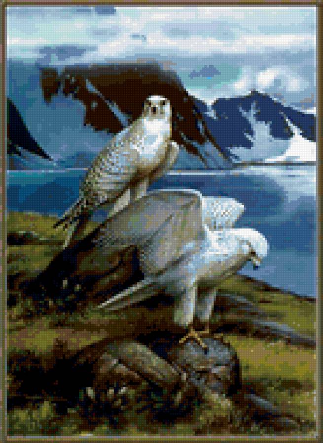 орлы - картина, лето, птицы, красота, орел, природа, горы - предпросмотр