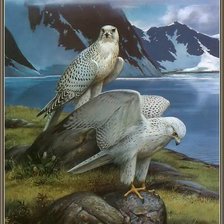 Схема вышивки «орлы»