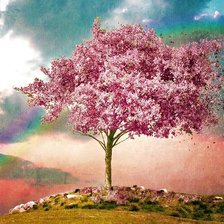 Схема вышивки «сакура»