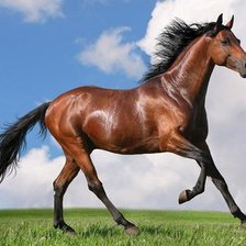 Схема вышивки «№420388»