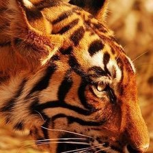 Схема вышивки «№420400»