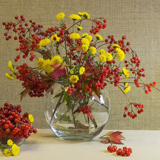 Схема вышивки «zveti»