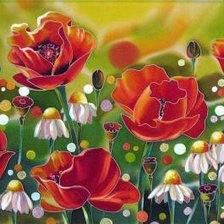 Схема вышивки «maki i romashki»