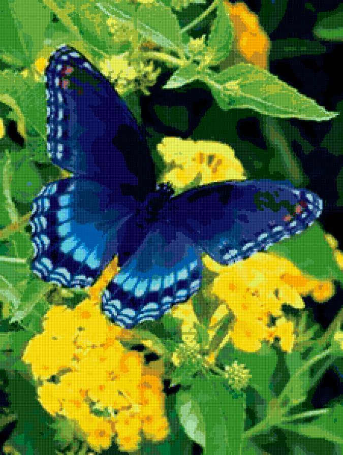 бабочка - цветок, бабочка, крылья - предпросмотр