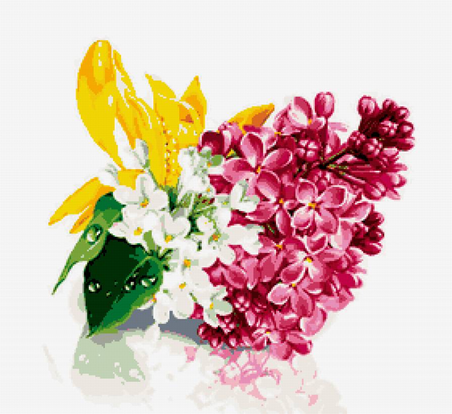 сирень - цветок, цветы, природа - предпросмотр