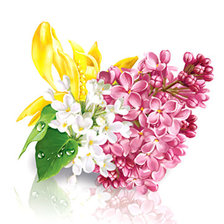 Схема вышивки «сирень»