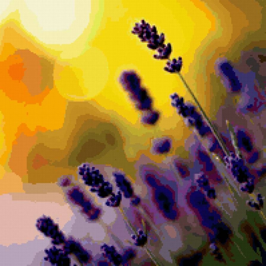 Лаванда - лаванда, цветы - предпросмотр