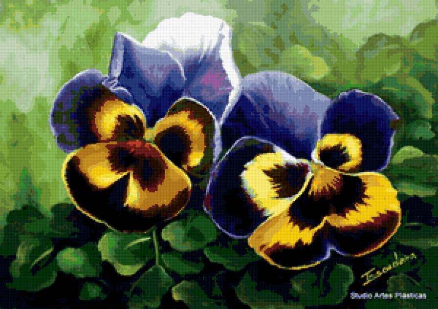 Анютки - цветы - предпросмотр