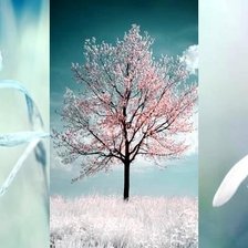 Схема вышивки «Триприх весна»