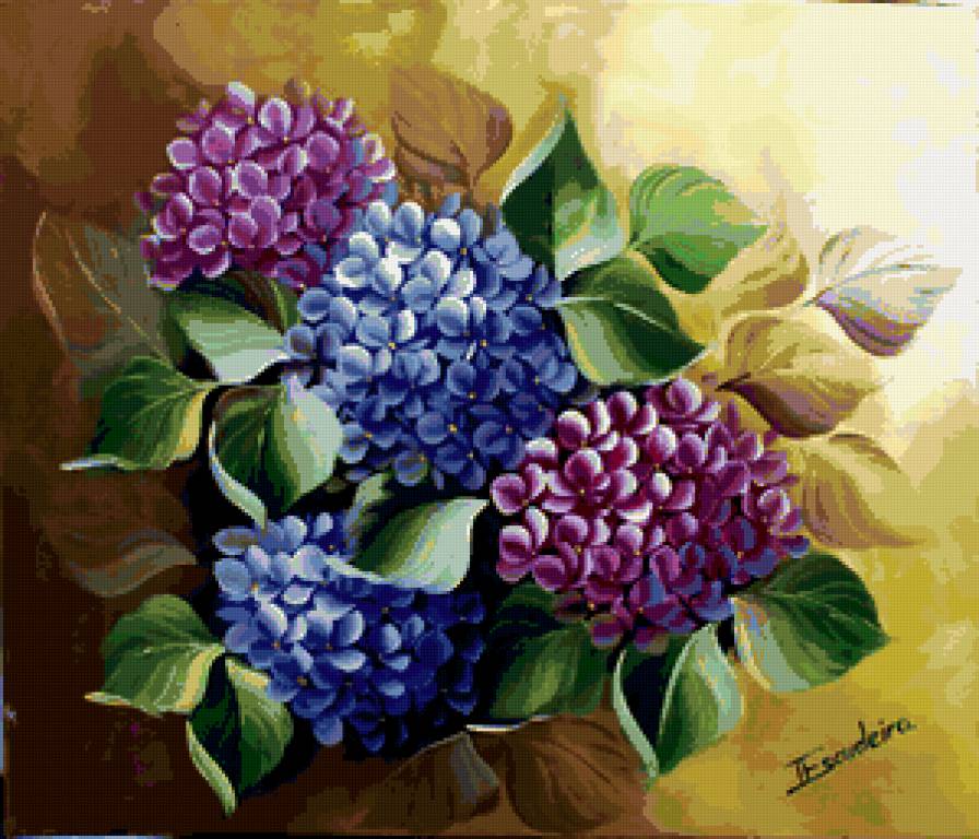 Прекрасная гортензия - гортензия, букет, цветы - предпросмотр