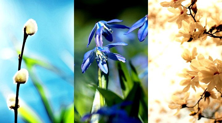 №420573 - оригинал