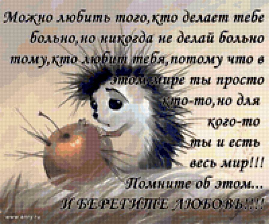 ёжик - животные, ежик - предпросмотр