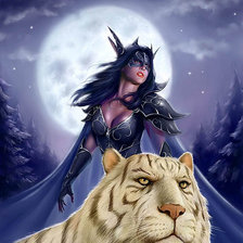 Схема вышивки «девушка и тиг»